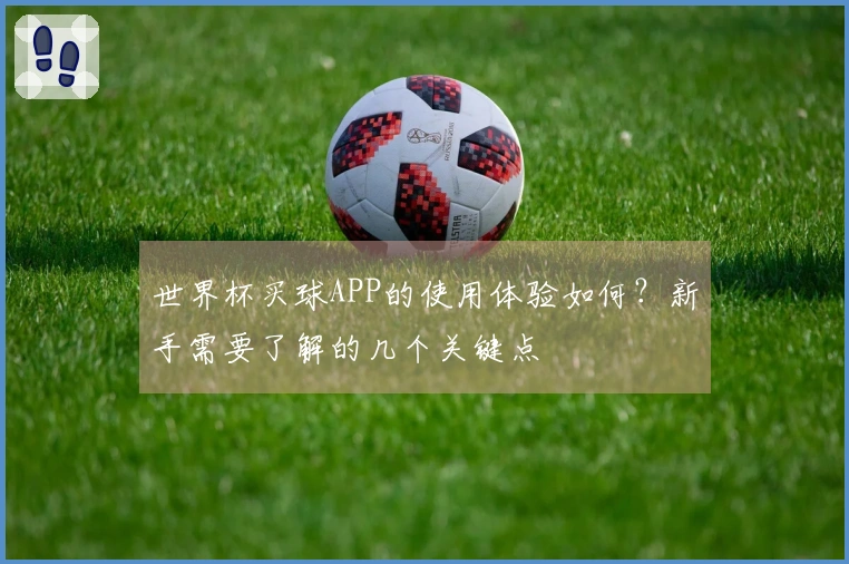世界杯买球APP的使用体验如何？新手需要了解的几个关键点