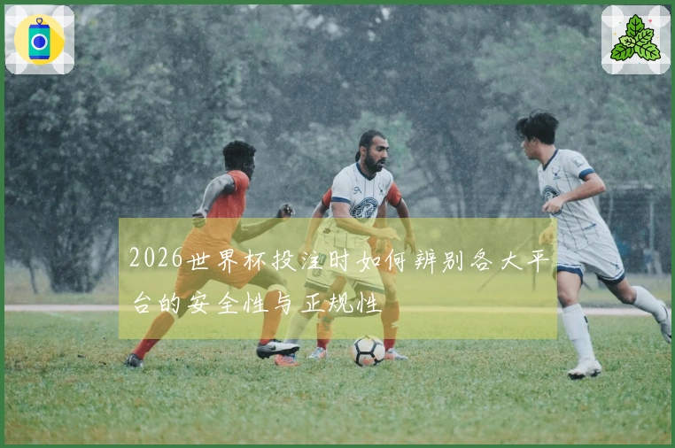 2026世界杯投注时如何辨别各大平台的安全性与正规性