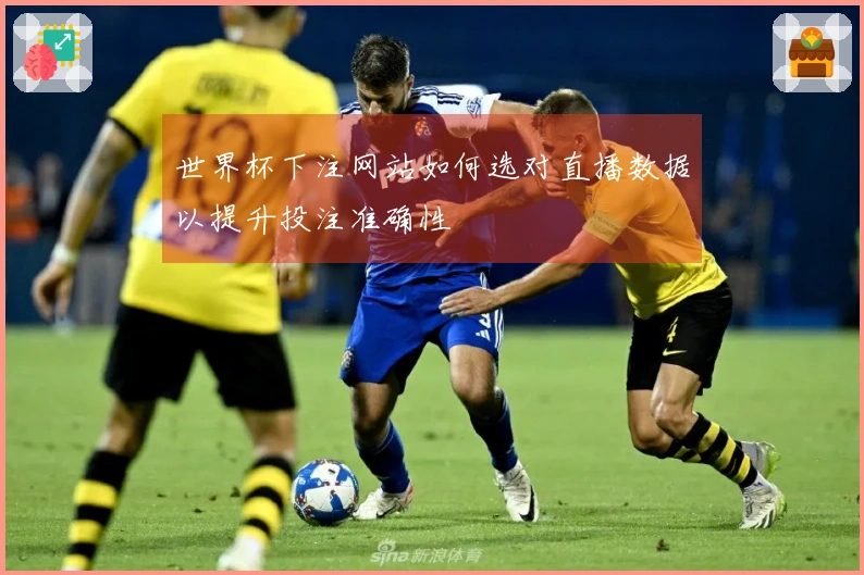 世界杯下注网站如何选对直播数据以提升投注准确性