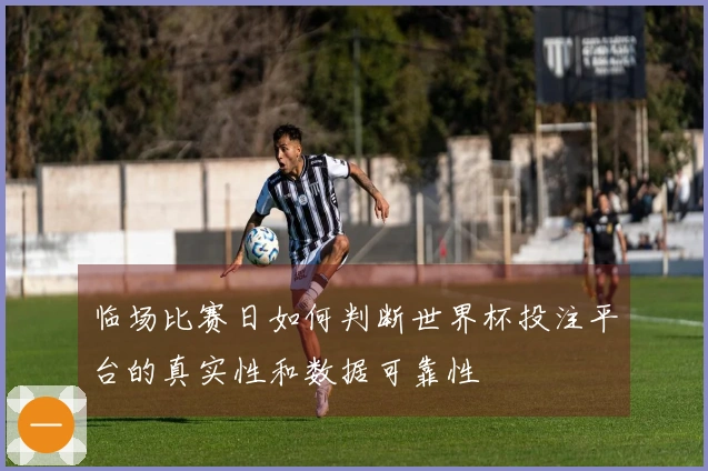临场比赛日如何判断世界杯投注平台的真实性和数据可靠性