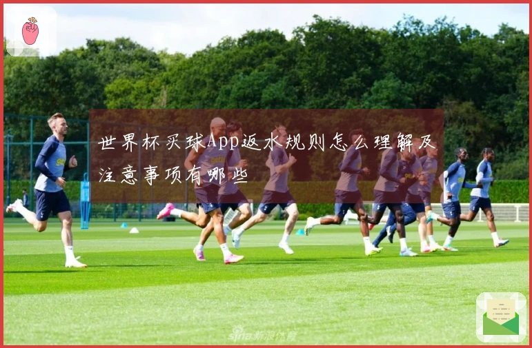 世界杯买球App返水规则怎么理解及注意事项有哪些